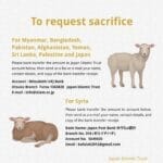 Sacrifice Qurbani 4